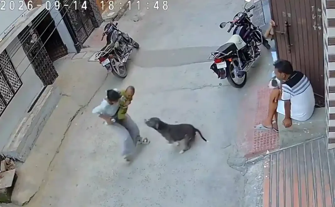 See Video… सोनीपत में 6 माह के मासूम को पिटबुल ने दबोचा, सड़क पर घसीटता रहा See Video… सोनीपत में 6 माह के मासूम को पिटबुल ने दबोचा, सड़क पर घसीटता रहा